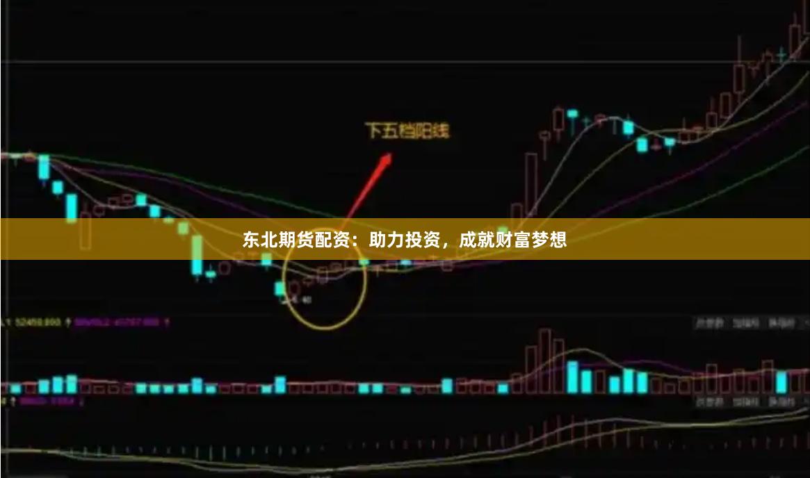 东北期货配资：助力投资，成就财富梦想