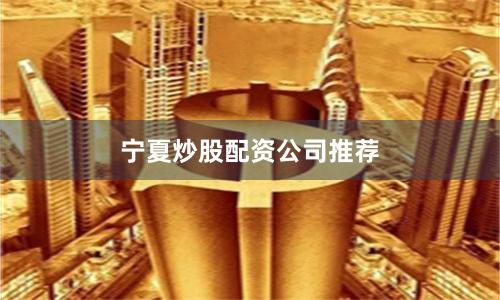 宁夏炒股配资公司推荐